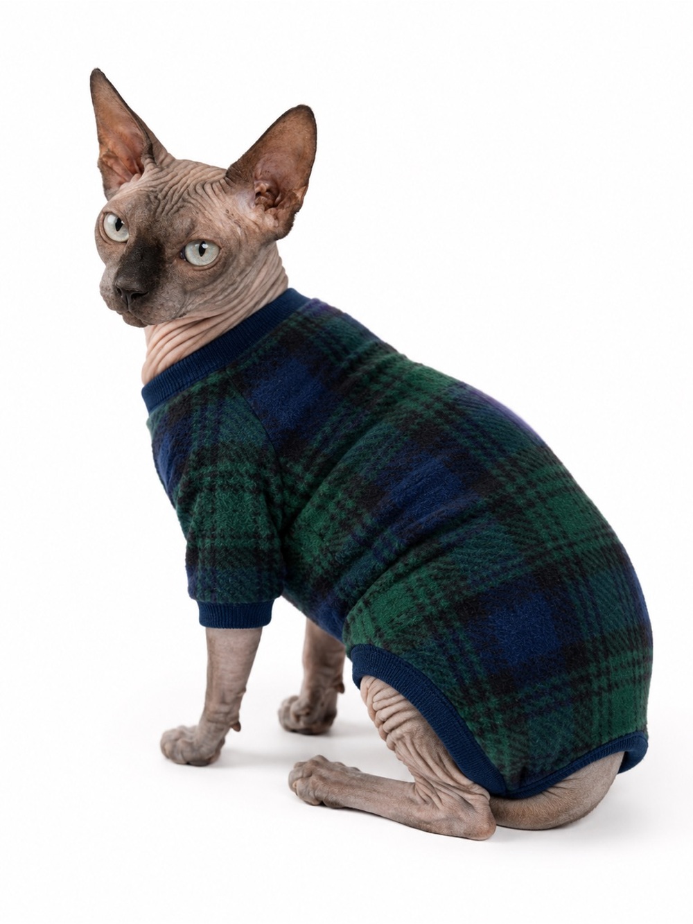 Green and Blue Tartan Plaid Cat Pyjamas - Cozy Pet Outfit